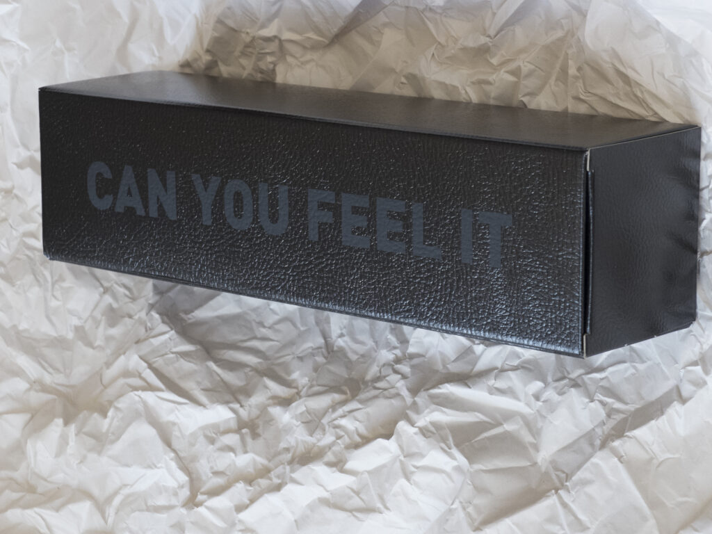 Can you feel it Edition numérotée signée. 30 exemplaires + 7 E. A. Bouteille gravée, coffret, photo de l’installation 34 x 9 x 9 cm