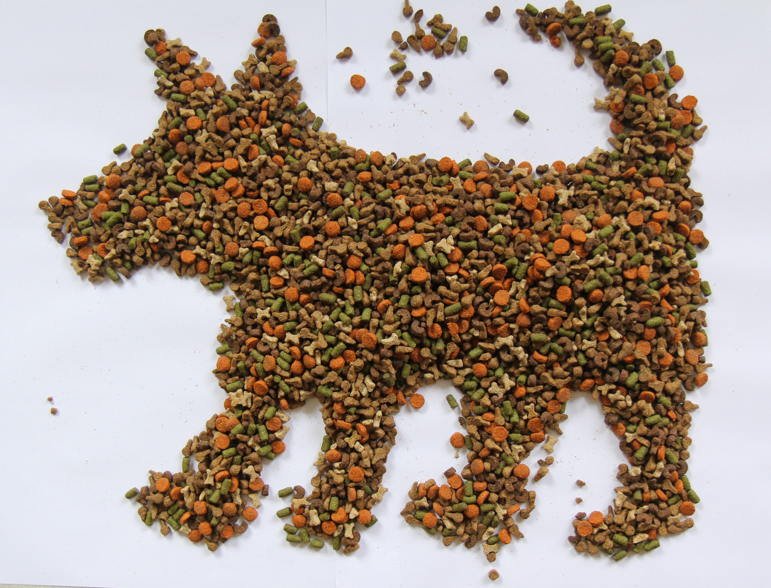 Sans titre, Tecnhique mixte, croquettes pour chien, 42 x 29,7 cm